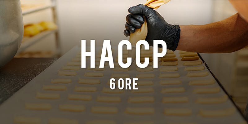 HACCP 6 ore
