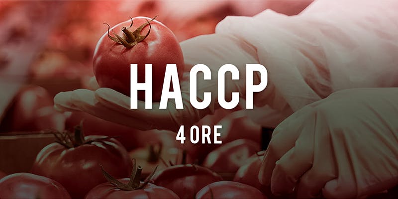 HACCP 4 ore